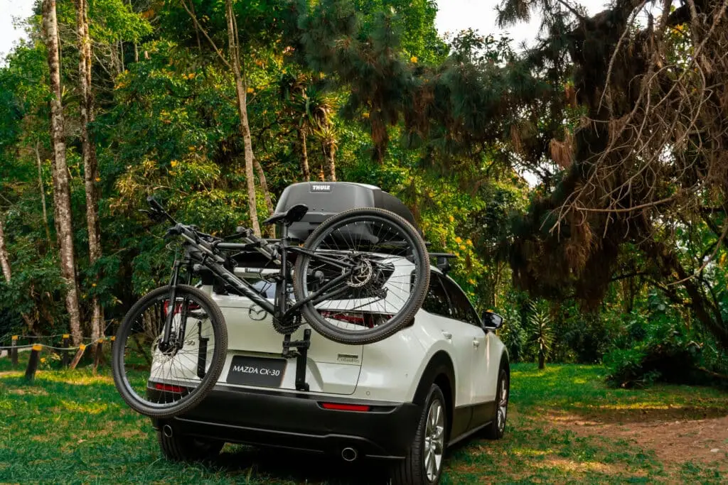 RS72278_9L0E69154 (7)