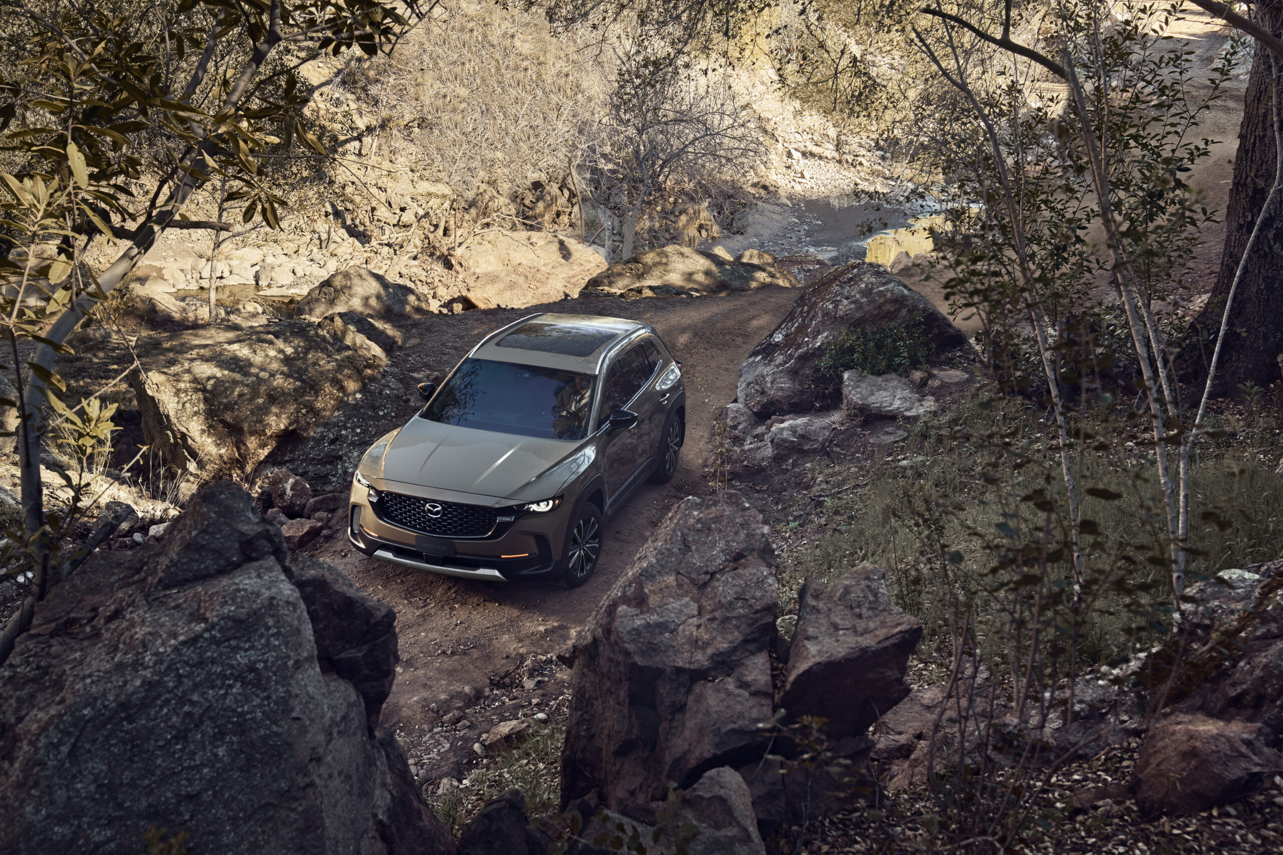 RS74474_VG06LAA_Mazda_CX-50_2024_Versiones_Grand_Touring_Signature_2.5L_Turbo_Exterior_017