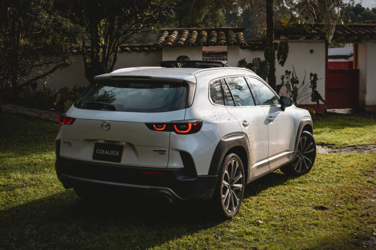 Cosechando Sueños, Sembrando Vida: Nuestro Compromiso Con El Medio Ambiente